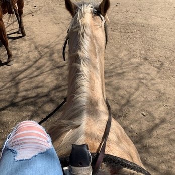 Rankin Ranch - Max - Horseback Riding Near Me - Caliente, California