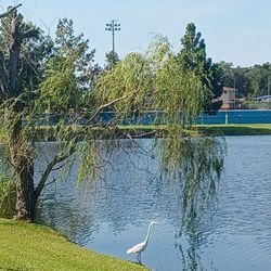 Blaine O'Neal Park
