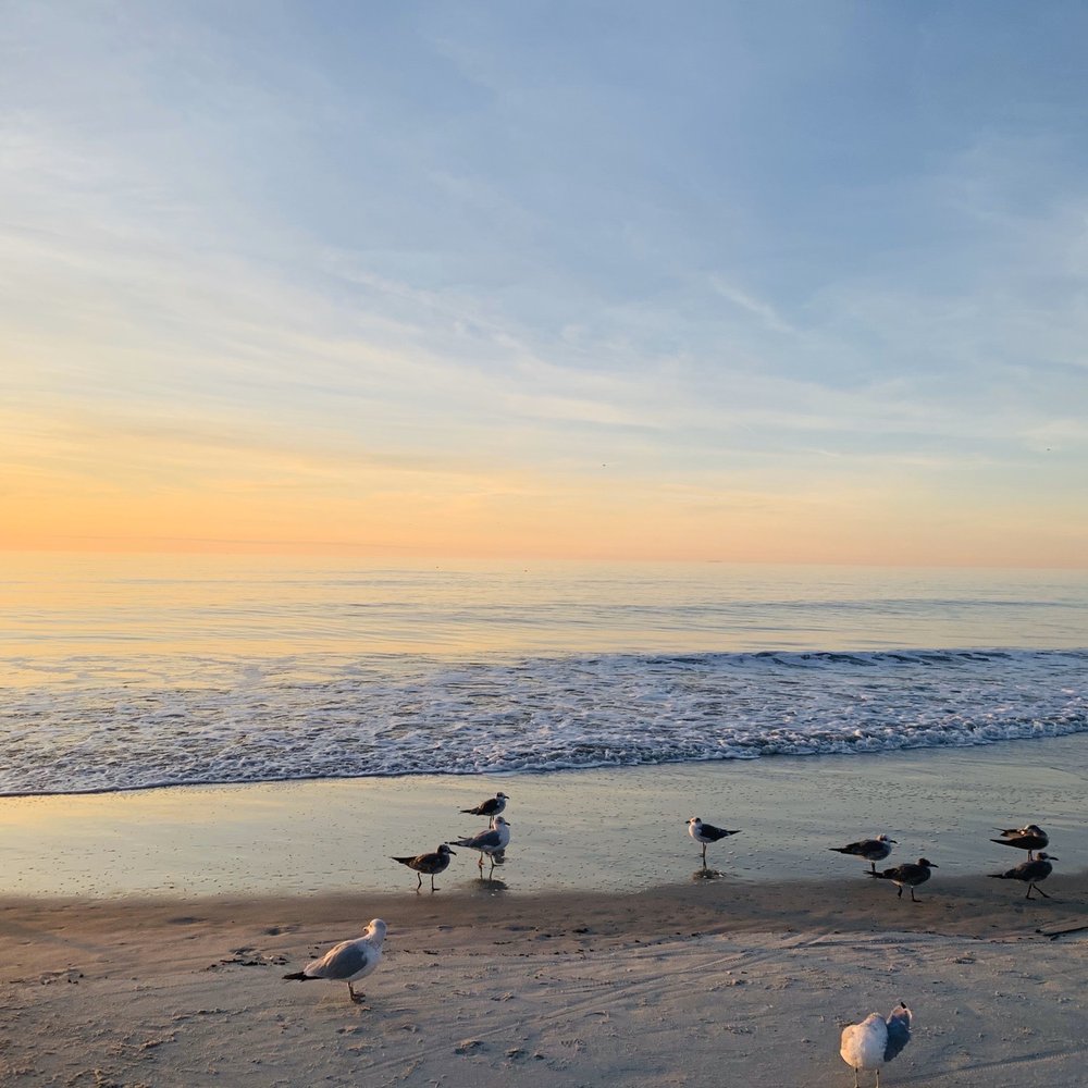 Beach House - Hotels Near Me - Hilton Head, South Carolina Beach House - Hotels Near Me - Hilton Head, South Carolina