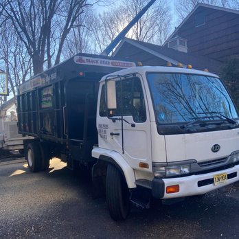 Black Bear Tree Services - BLACK BEAR TREE SERVICE LLC, of ​​Park Ridge, New Jersey is a family-owned business. We offer a wide variety of tree and bush/shrub services - Tree Services Near Me - Montvale, New Jersey