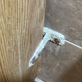 WingHouse Bar & Grill - Heavy mold in bathroom - Chicken Wings Near Me - Ellenton, Florida WingHouse Bar & Grill - Heavy mold in bathroom - Chicken Wings Near Me - Ellenton, Florida