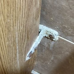 WingHouse Bar & Grill - Heavy mold in bathroom