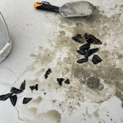 Coastal Scuba - $40 haul from their great shark tooth adventure. Very displeased.