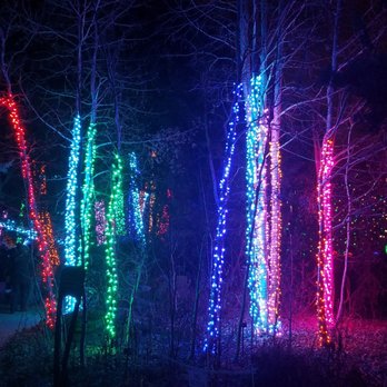 Blossoms of Light - Botanical Gardens Near Me - Denver, Colorado