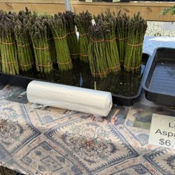 Wanczyk Evergreen Nursery