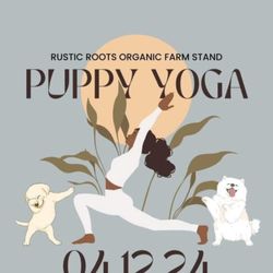 Wilton Hatha Yoga - This Puppy Yoga was a private event I Taught at.