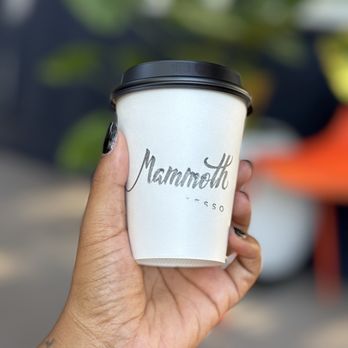Mammoth Espresso - Coffee & Tea Near Me - New Orleans, Louisiana Mammoth Espresso - Coffee & Tea Near Me - New Orleans, Louisiana