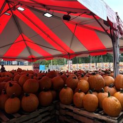 Tom Leonards Farmers Market