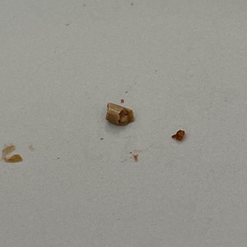 Quatro's Deep Pan Pizza - This was the bone fragment from my Vegetarian Delight pizza. - Pizza Near Me - Carbondale, Illinois Quatro's Deep Pan Pizza - This was the bone fragment from my Vegetarian Delight pizza. - Pizza Near Me - Carbondale, Illinois