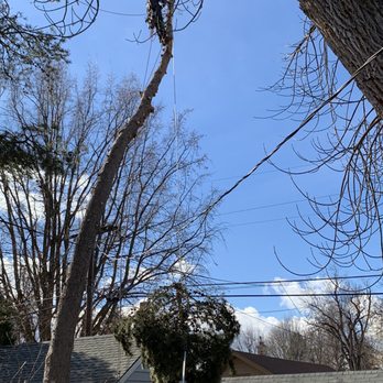 North Fork Tree Service - Tree Services Near Me