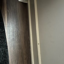 Roaches crawling in my daughter's room. Roaches crawling in my daughter's room.