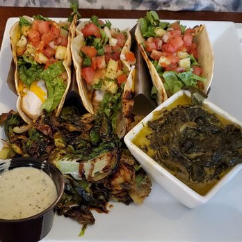 C Level - Mahi tacos - Bars Near Me - Panama City Beach, Florida C Level - Mahi tacos - Bars Near Me - Panama City Beach, Florida
