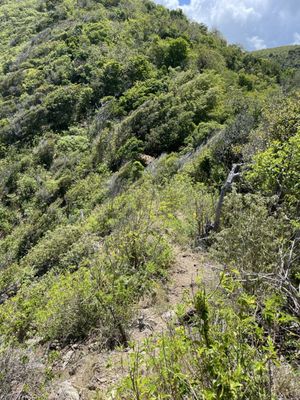 Hams Bluff by null