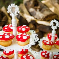Kenzie's Events - Woodland party