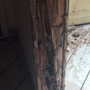 Goodnight Termite - Subterranean termite damage of a door casing. - Pest Control Near Me Goodnight Termite - Subterranean termite damage of a door casing. - Pest Control Near Me
