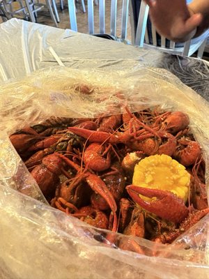 Cajun Craven by null