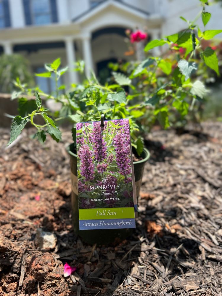 SOUTHERN ROOTS LANDSCAPE DESIGN Updated July 2024 55 Photos