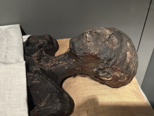 Museo Egizio by null