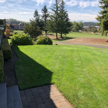 Miguel's Lawn Care - a view of the back yard - Lawn Services Near Me Miguel's Lawn Care - a view of the back yard - Lawn Services Near Me