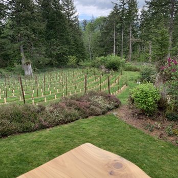 Chateau NoElle - Vineyard view from our table - Wineries Near Me - Snoqualmie, Washington Chateau NoElle - Vineyard view from our table - Wineries Near Me - Snoqualmie, Washington