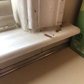 Molly Maid of Ann Arbor and Washtenaw County - Missed the end of the window sill. - Home Cleaning Near Me - Ann Arbor, Michigan