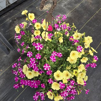 Sunrise Greenhouse - Nurseries & Gardening Near Me - Milroy, Indiana