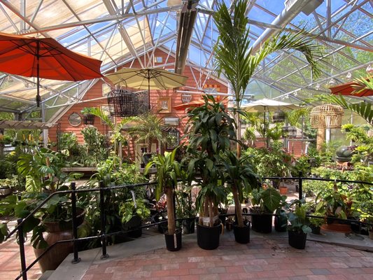 Briggs Nursery by null
