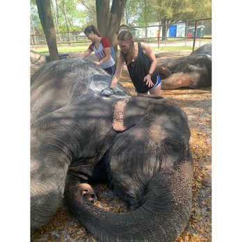 Two Tails Ranch - Zoos Near Me - Williston, Florida