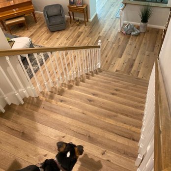 Hexagon Construction - a dog on the stairs - General Contractors Near Me - San Fernando Valley, California Hexagon Construction - a dog on the stairs - General Contractors Near Me - San Fernando Valley, California