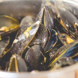 Big Fish Grill Ocean View - Mussel Pot, anyone?