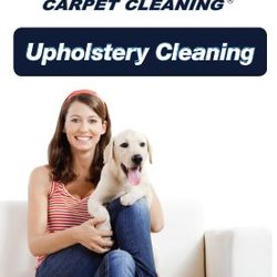 Oxi Fresh Carpet Cleaning - Carpet Cleaning Rug Cleaning Upholstery Cleaning