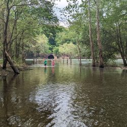 West Penn Trail - The bridge closest to the Conemaugh dam is still under water