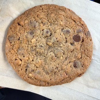 Model Bakery - Chocolate Chip Walnut Cookie - Bakeries Near Me - Walnut Creek, California