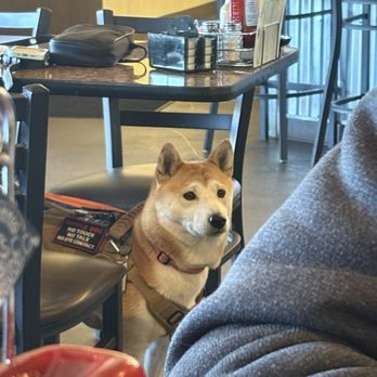 Le Peep - Pet Friendly! - Breakfast & Brunch Near Me - Meridian, Idaho
