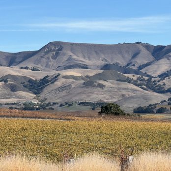 Breakaway Tours Wine & Events - Wine Tours Near Me - Paso Robles, California