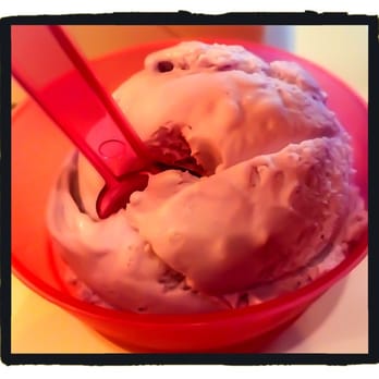 Le Macaron French Pastries - Violette gelato - Coffee & Tea Near Me - Winter Park, Florida Le Macaron French Pastries - Violette gelato - Coffee & Tea Near Me - Winter Park, Florida