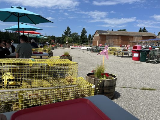 Archie's Lobster by null