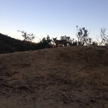 Coldwater Canyon Park - Hey there - Parks Near Me - Beverly Hills, California Coldwater Canyon Park - Hey there - Parks Near Me - Beverly Hills, California