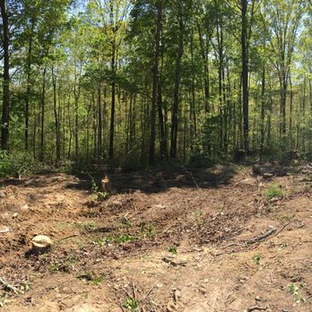 Meadows Farm & Forestry - Tree Services Near Me Meadows Farm & Forestry - Tree Services Near Me