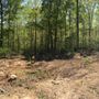 Photo of Meadows Farm & Forestry