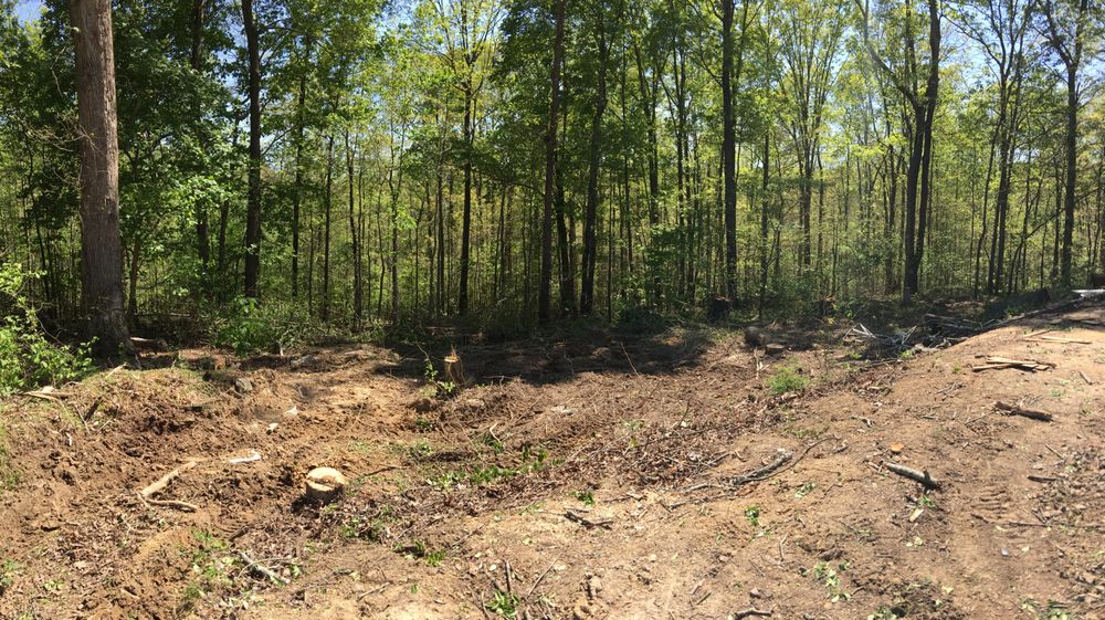 Meadows Farm & Forestry - tree service in Nashville, TN