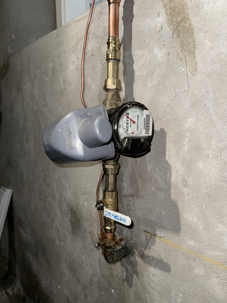 Slide of American Rooter