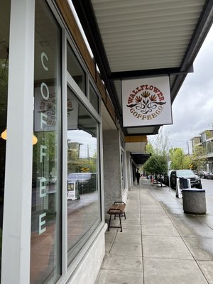 Wallflower Coffee Company by null