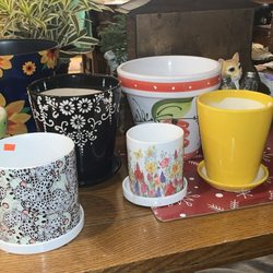 Woodland Gardens - Pot haul