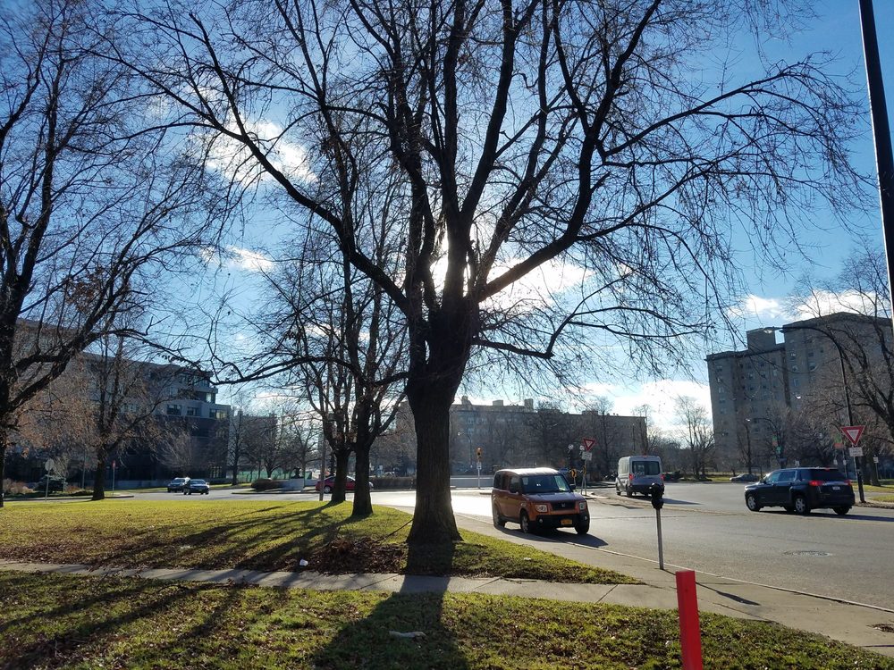 GATES CIRCLE Updated June 2024 8 Chapin Pkwy, Buffalo, New York