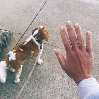 @ Nails - Nail Salons Near Me - San Luis Obispo, California @ Nails - Nail Salons Near Me - San Luis Obispo, California
