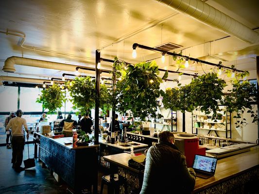 Aviano Coffee Cherry Creek North by null