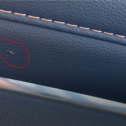 Hertz Rent A Car - This ant was on the dash board.