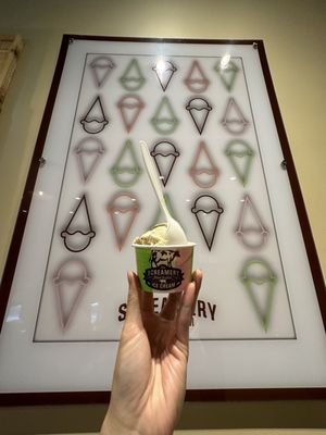 The Screamery by null
