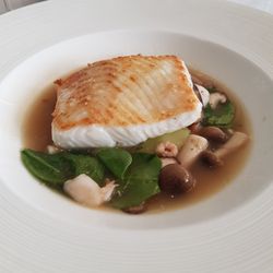 Galvin at Windows